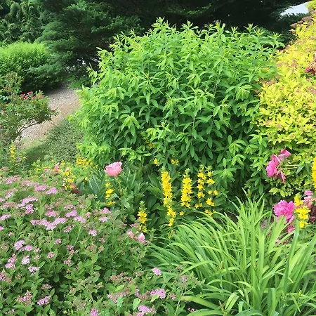 Le Manoir Au Gérardmer