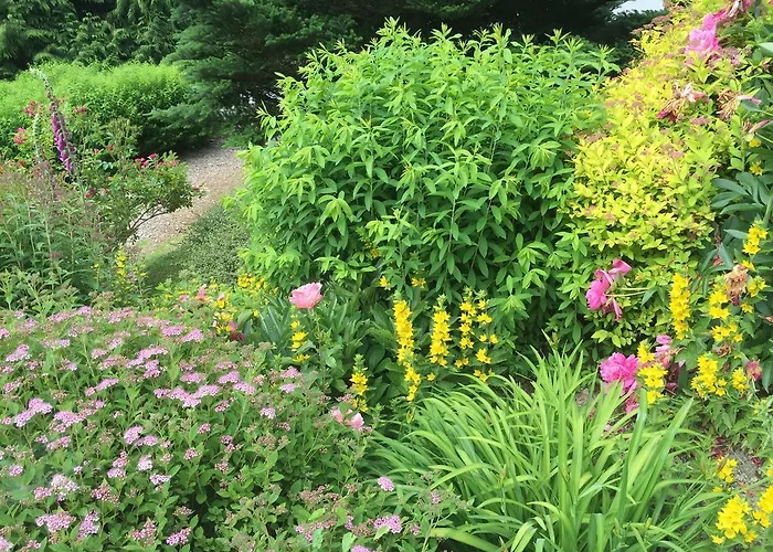 湖庄园酒店 热拉梅