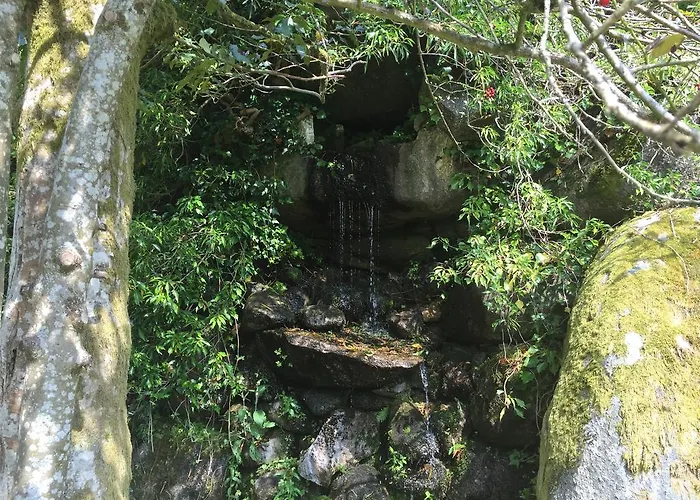 Отель Le Manoir Au 4*